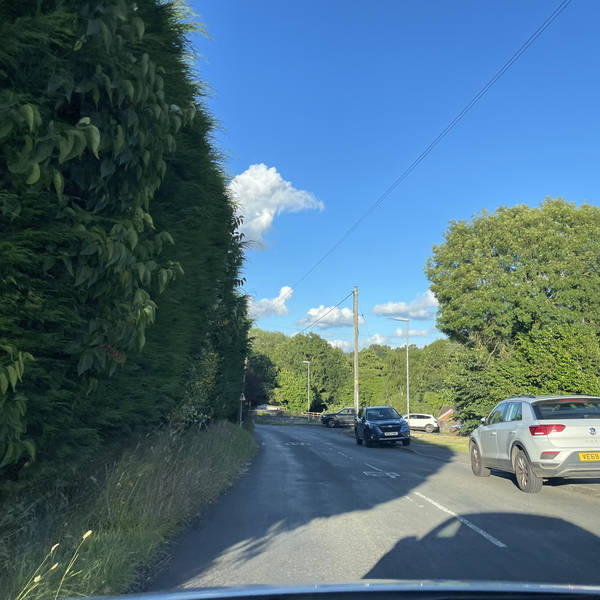 Sweet Caroline behind a hedge, Bratch, England, UK on 6th July 2024 – by Helen Zaltzman