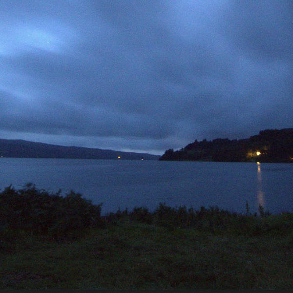 Herons at night, Isle of Mull, Scotland in late summer 2024 – by Paul Ridout