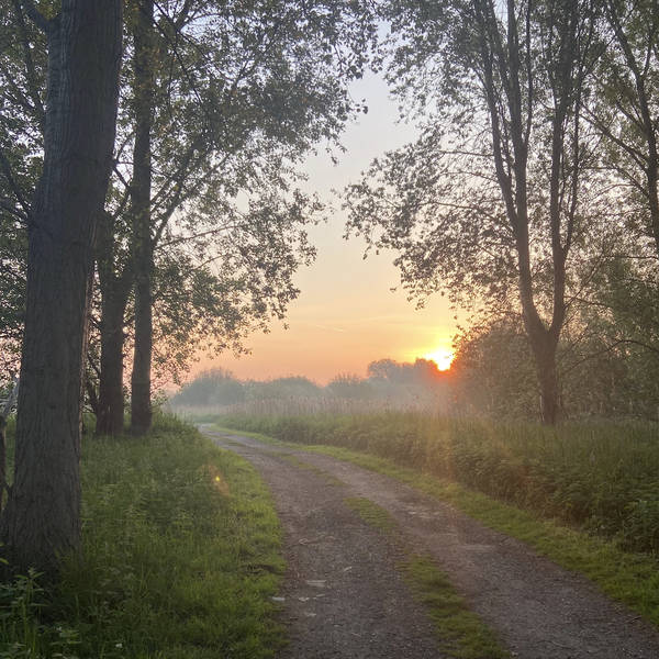 Early morning, RSPB Lakenheath Fen, Suffolk, UK in May 2024 – by Talia Randall