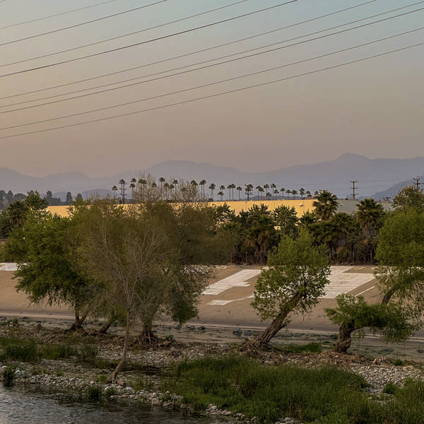 Frogtown, Los Angeles River, USA in April 2024 – by Alan Weedon