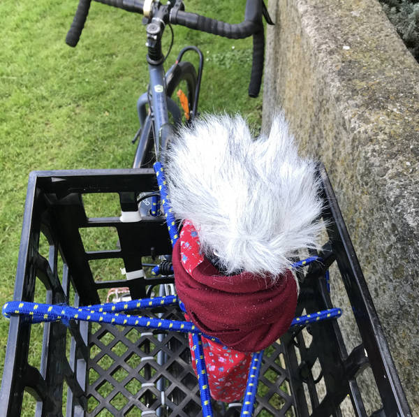 Cyclist’s perspective, Melbourne, Australia on 14th April 2023 – by Corey Marie Green