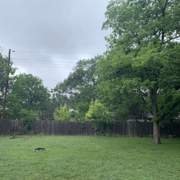 After the rainstorm, Texas, USA at 1.47pm on 29th April 2021 – by Jay Roff-Garcia