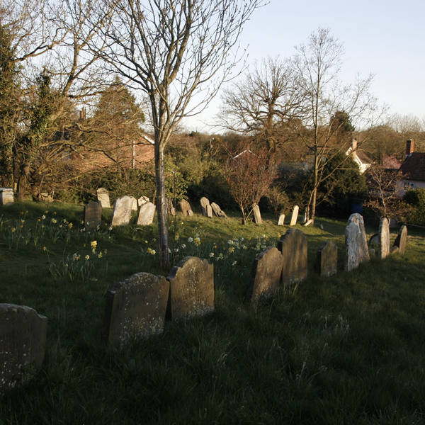 Church bells at dusk, Suffolk, UK on 9th April  2021 – by Melissa Harrison and Peter Rogers