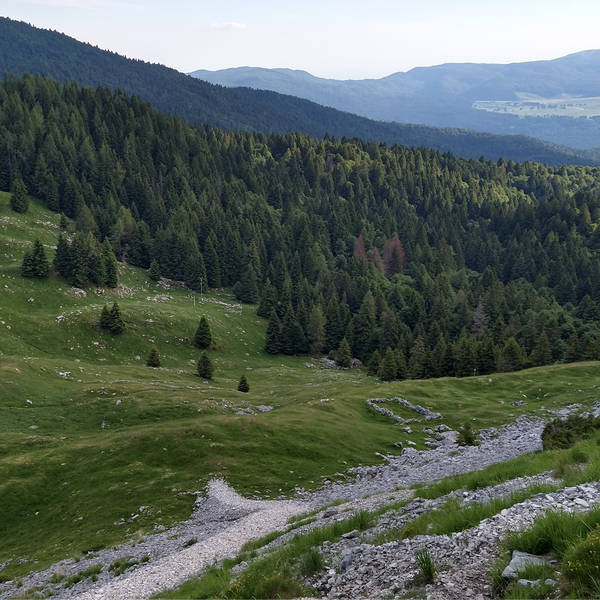Walking on gravel, Eastern Alps, Italy in July 2021 – by Jacopo Furlanetto