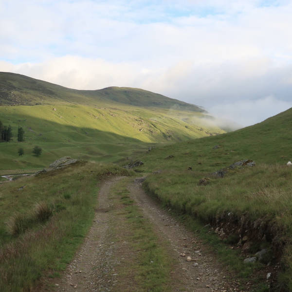 Waking up the neighbours, a dawn chorus in Glenshee, Scotland in June 2019 – by Neil Verma