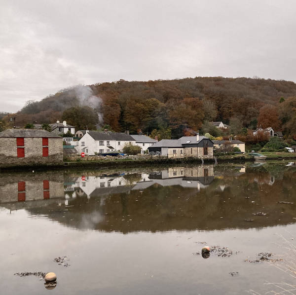 Dusk at Lerryn Creek on the Fowey Estuary, Cornwall, UK on 15th November 2021 – by Celia Robbins