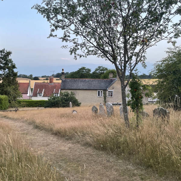 8pm, rural village garden, Suffolk, UK on 19th July 2022 – by Melissa Harrison