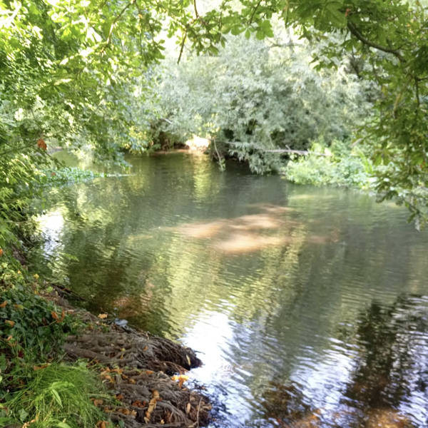 Mid-afternoon by the river, near Uxbridge, London, UK on 19th July 2022 – by Andrea Rangecroft