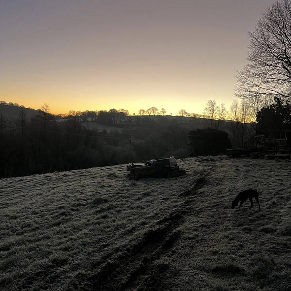 Dawn, Brynberian, north Pembrokeshire, Wales on 14th January 2021 – by Siddharth Khajuria