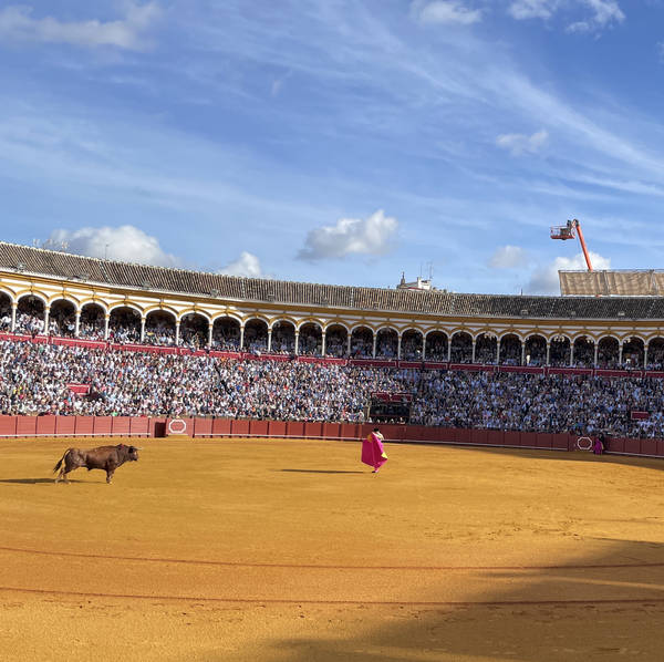Bullfight, Plaza de toros de la Real Maestranza de Caballería de Sevilla, Spain on 22nd April 2023 – by Charity Be