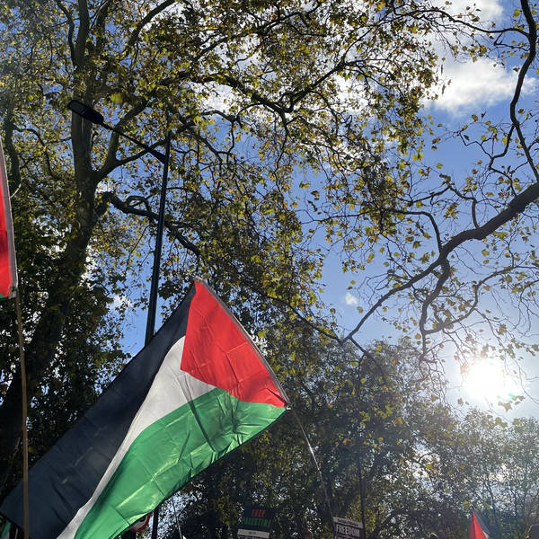 Palestinian Solidarity March, London, UK on 11th November 2023