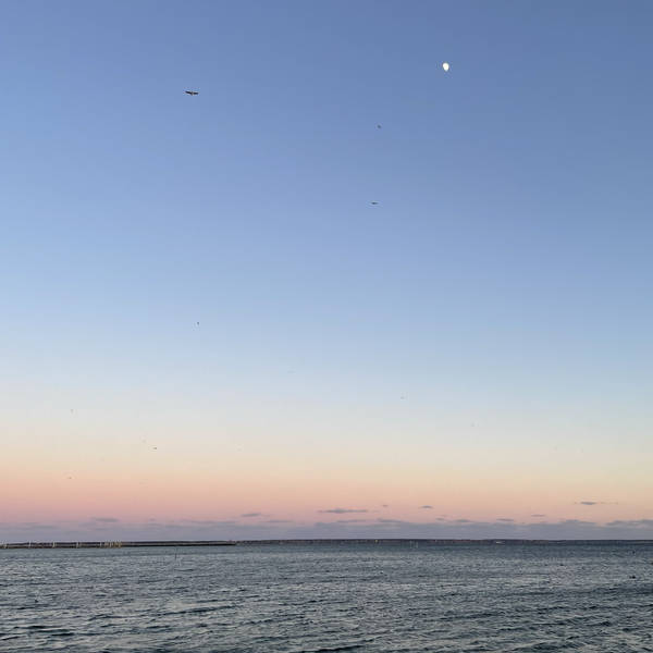Wind chimes and bells, Provincetown, Massachusetts on the Winter Solstice after the light fades 2023 – by Eleanor McDowall
