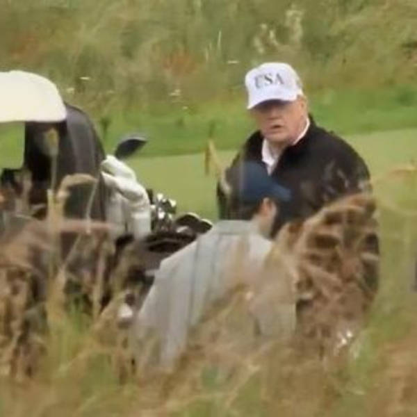 955 - Memory (7/28/25)