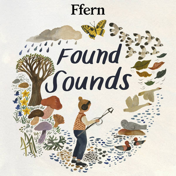 Found Sound for February