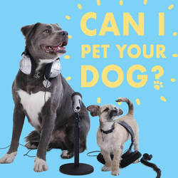 Can I Pet Your Dog? image