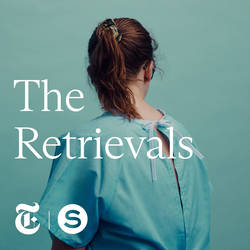 The Retrievals image