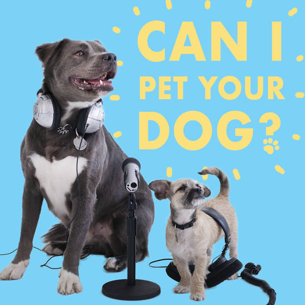 Ep. 5: National Dog Day and Ask a Trainer