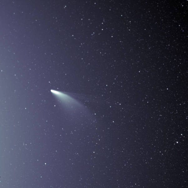 Cosmic Queries – Comet NEOWISE