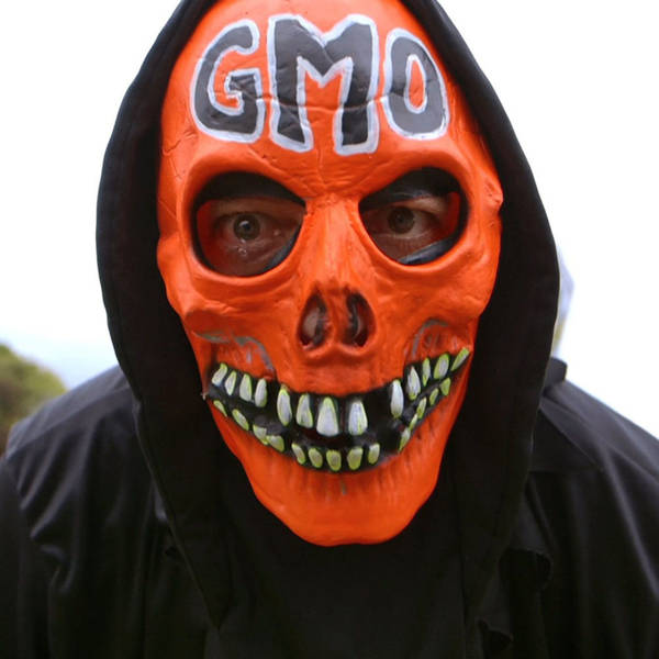Understanding GMOs and the Future of Food