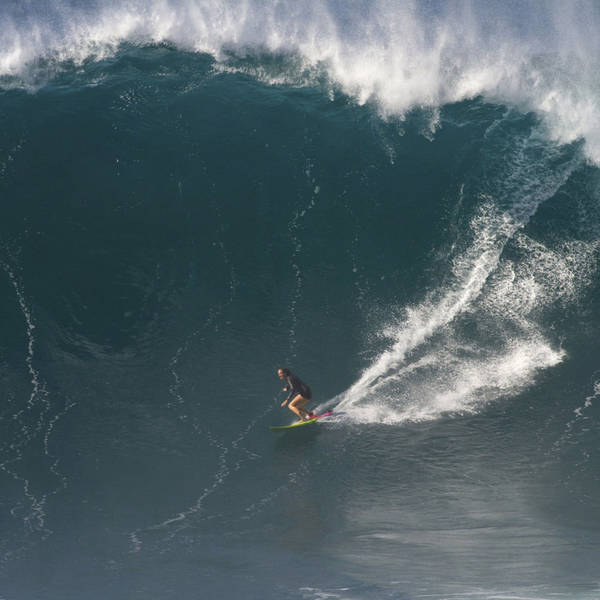 #ICYMI - Surf's Up - The Big Waves