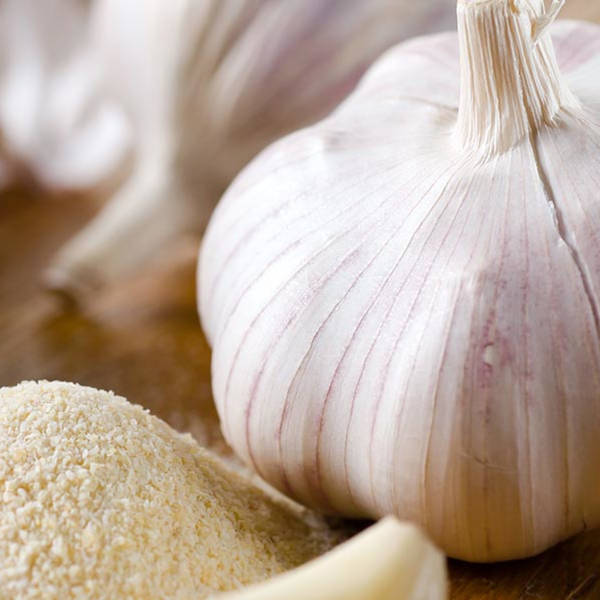 Garlic Salt (Tis the Seasoning) | #29