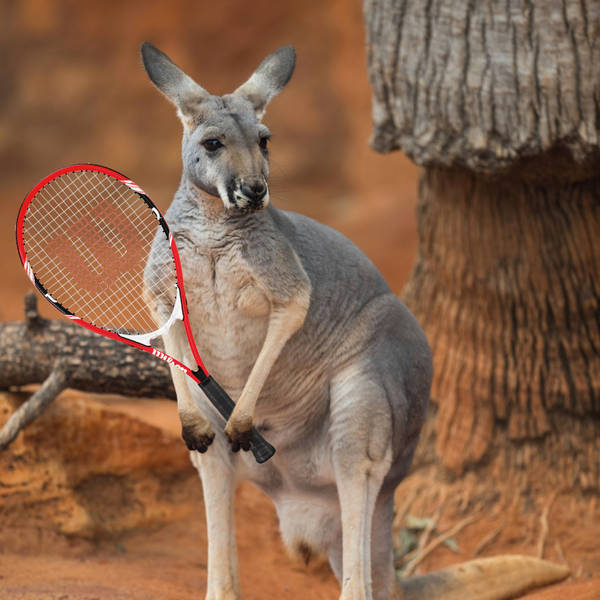 Kangaroo + Tennis | #71