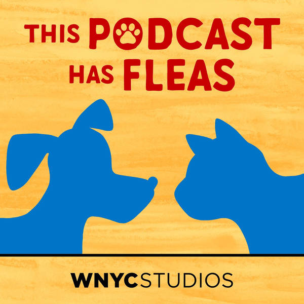 This Podcast Has Fleas