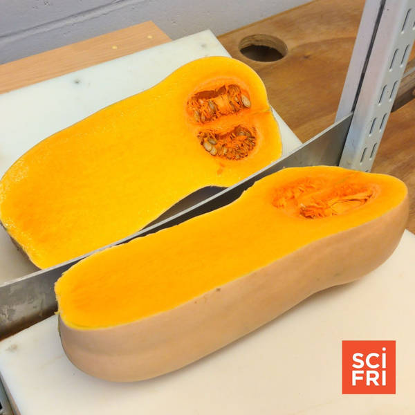Everything You Never Knew About Squash And Pumpkins