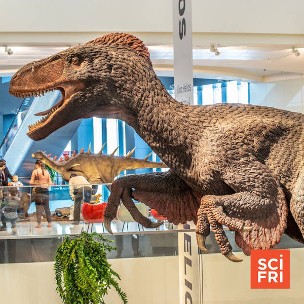 Which Feathered Dinosaurs Could Fly? | Some French Cheeses At Risk Of Extinction