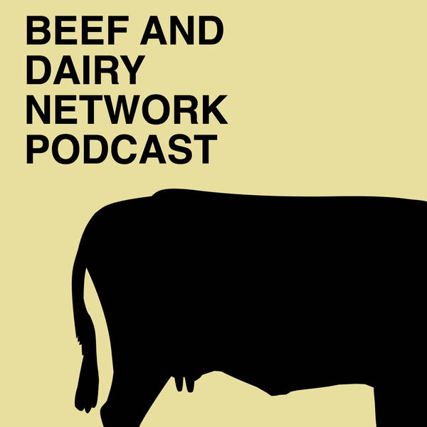 Beef And Dairy Network image
