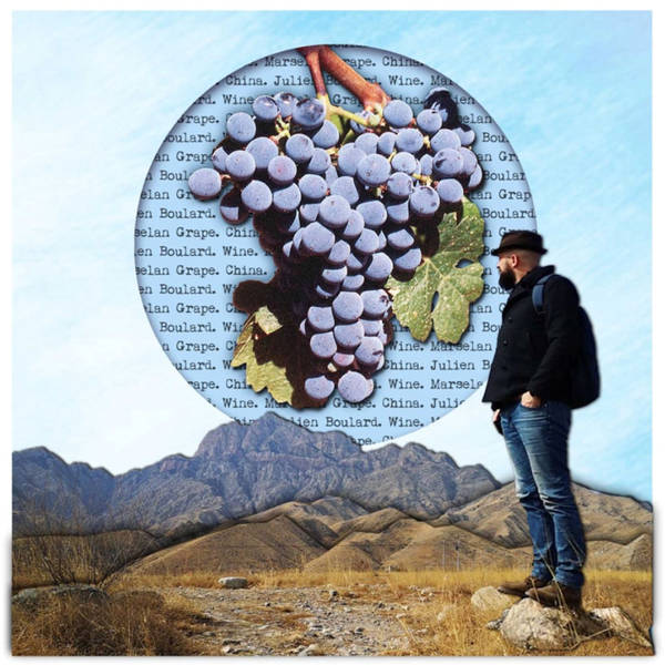 What is  China's Future Flagship Grape?  With Julien Bouldard MW , Director of Zhulian Wine Consulting