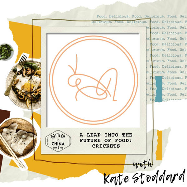 A Leap into the Future of Food: Crickets with Kate Stoddard of Orchestra Provisions