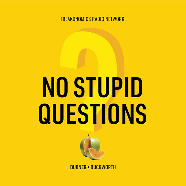 Introducing "No Stupid Questions"