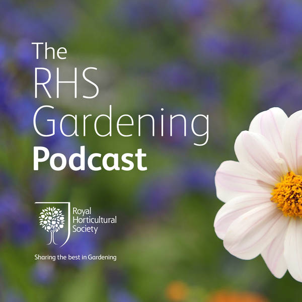Episode 108: Hairy Bikers at Hampton, incredibly edible show gardens, going wild and going green