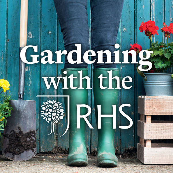 New RHS gardens in the making; gardening health and safety; joyful garden memories