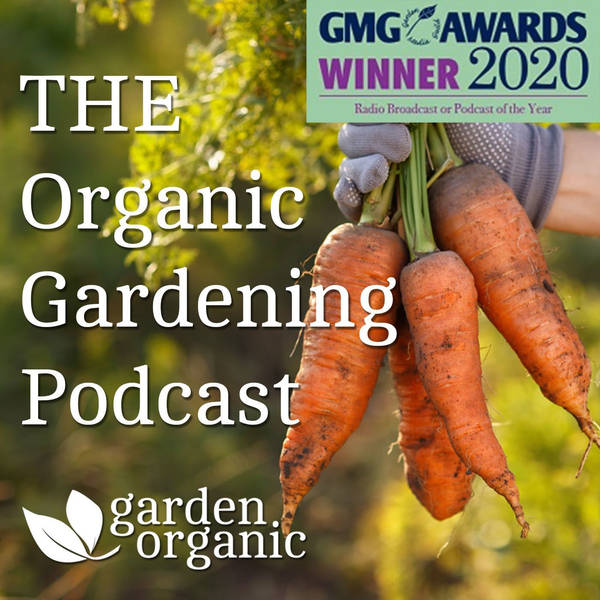 S2 Ep18: January - planning for your growing year, plus lockdown gardening.