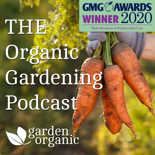 S2 Ep37: February - successful seed sowing plus Debs Goodenough, gardener to Prince Charles.