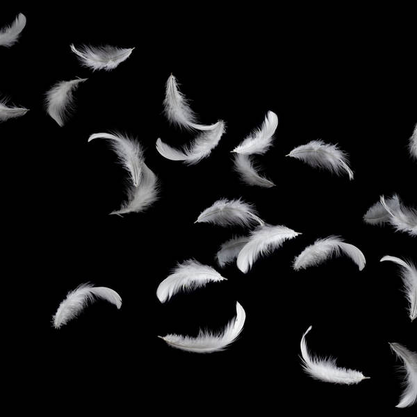 What happens if you drop a feather in space?