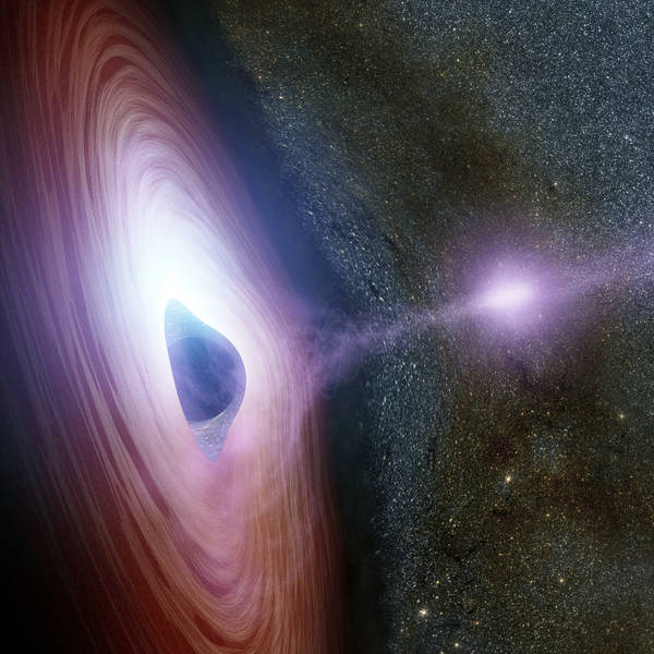 Black Holes, Wormholes and Donut Holes