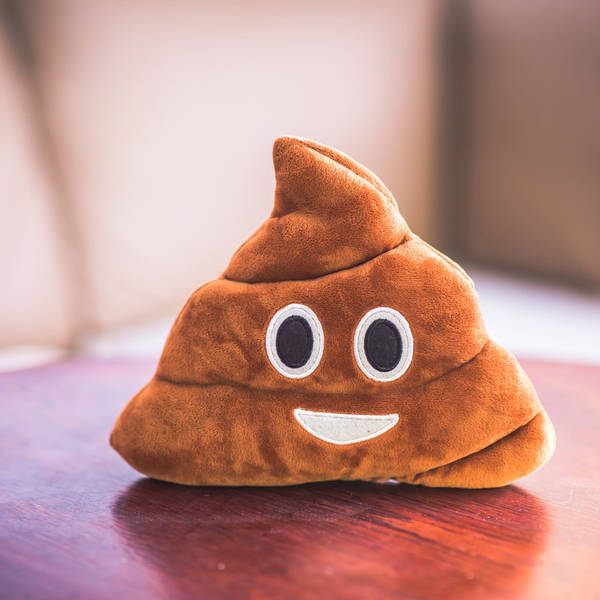 Poop Party: Answers to your poo questions