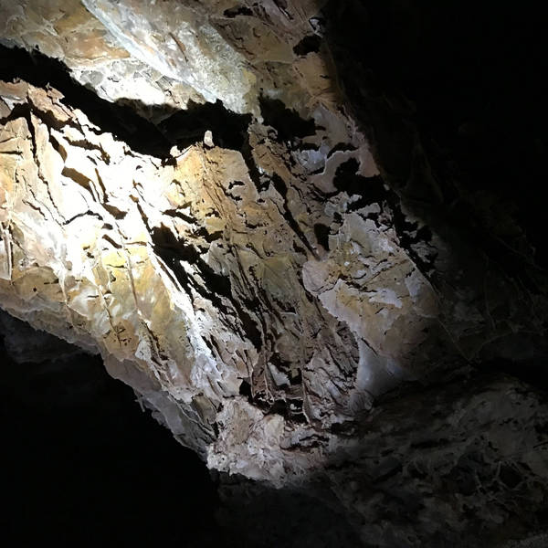 Going underground at Wind Cave National Park