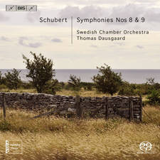 Symphony No.8 in B minor D.759 (1) artwork