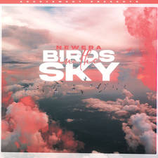 Birds In The Sky artwork