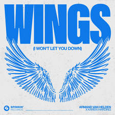 Wings (I Won't Let You Down) artwork