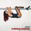 Training Season artwork