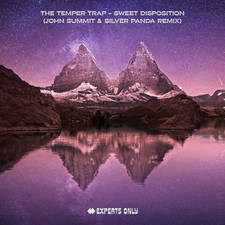 Sweet Disposition (John Summit & Silver Panda Remix) artwork