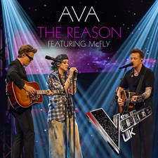 The Reason artwork