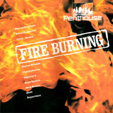 Fire Burning (Ras Dub) artwork