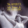 Let's Dance To Joy Division artwork