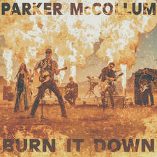 Burn It Down artwork
